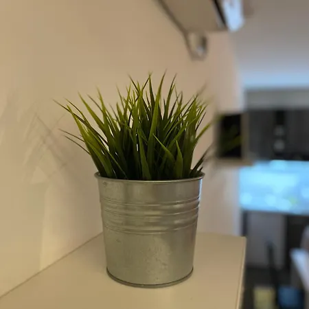 Daire Family , Free Parking Ni