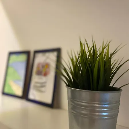 Family , Free Parking